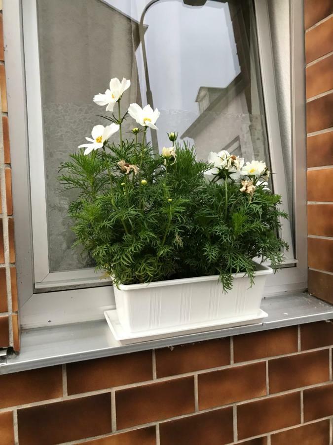 Ferienhaus Loehr Mit Treppenlift *